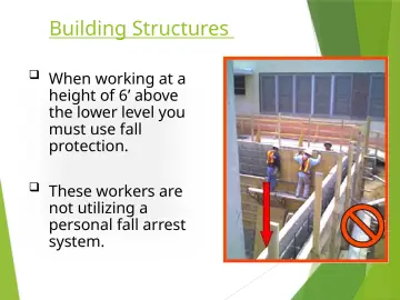 Slide 10: Building Structures