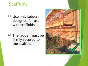Slide 25: Scaffolds
