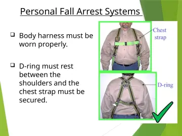 Slide 70: Personal Fall Arrest Systems