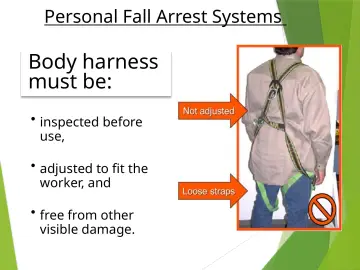 Slide 71: Body harness must be: