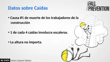 Slide 8: Datos sobre Caídas