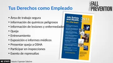 Slide 10: Tus Derechos como Empleado