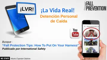Slide 24: ¡La Vida Real!