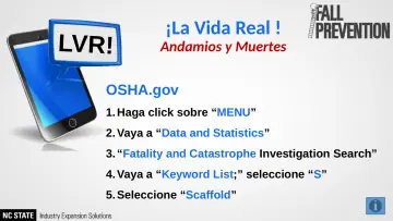 Slide 29: LVR!