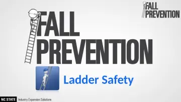 Slide 12: Ladder Safety