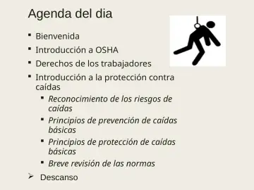 Slide 5: Agenda del dia