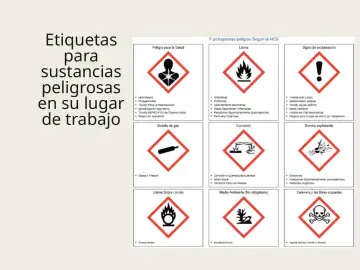 Slide 13: Etiquetas para sustancias peligrosas en su lugar de trabajo