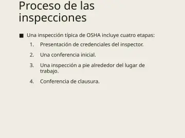 Slide 15: Proceso de las inspecciones