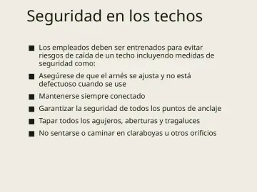 Slide 30: Seguridad en los techos