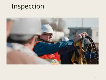 Slide 74: Inspeccion