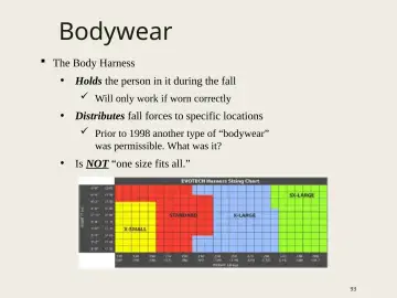 Slide 93: Bodywear