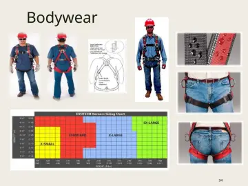 Slide 94: Bodywear