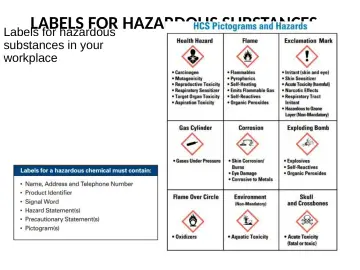 Slide 13: LABELS