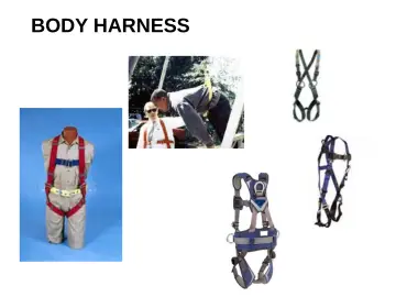 Slide 74: BODY HARNESS