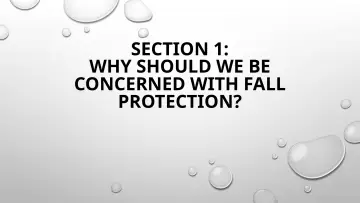 Slide 4: SECTION 1:
