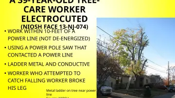 Slide 124: A 39-YEAR-OLD TREE- CARE WORKER ELECTROCUTED