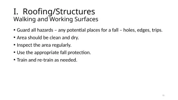 Slide 10: I. Roofing/Structures