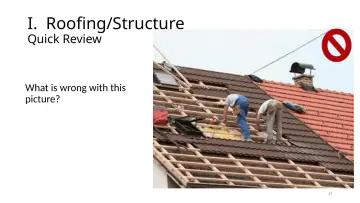 Slide 17: I. Roofing/Structure