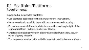 Slide 30: III. Scaffolds/Platforms