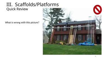 Slide 38: III. Scaffolds/Platforms
