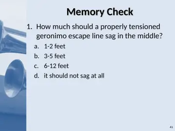 Slide 41: Memory Check