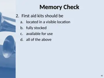 Slide 42: Memory Check