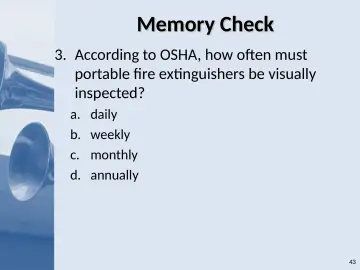 Slide 43: Memory Check