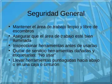 Slide 4: Seguridad General