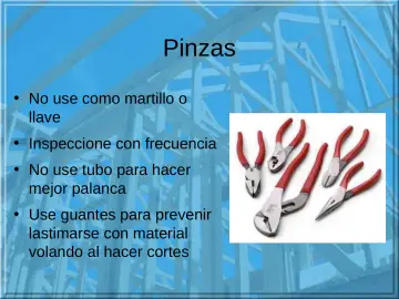 Slide 18: Pinzas