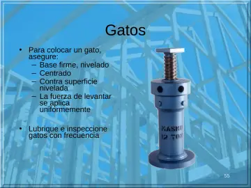 Slide 55: Gatos
