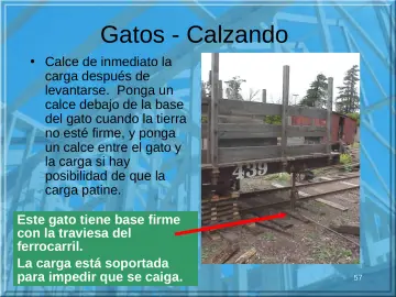 Slide 57: Gatos - Calzando
