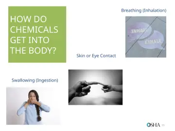 Slide 11: HOW DO CHEMICALS GET INTO THE BODY?