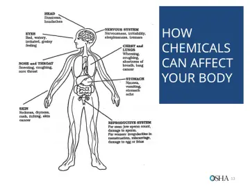 Slide 13: HOW CHEMICALS CAN AFFECT YOUR BODY