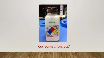 Slide 12: Correct or Incorrect?