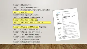 Slide 19: Section 1: Identification