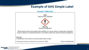 Slide 17: Example of GHS Simple Label