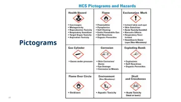 Slide 18: Pictograms
