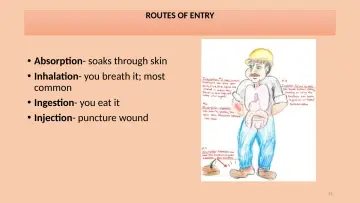 Slide 19: ROUTES OF ENTRY