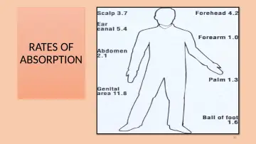 Slide 20: RATES OF ABSORPTION
