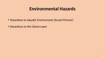 Slide 26: Environmental Hazards