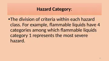 Slide 28: Hazard Category: