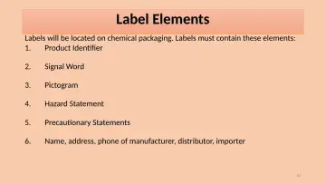 Slide 41: Label Elements