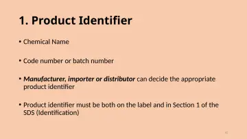 Slide 42: 1. Product Identifier