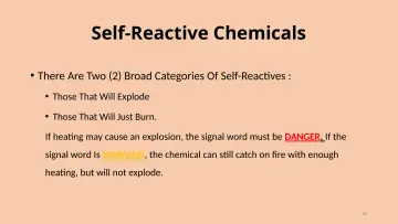 Slide 44: Self-Reactive Chemicals