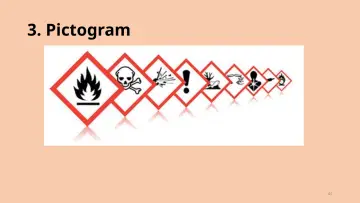 Slide 45: 3. Pictogram