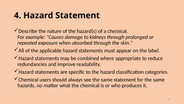 Slide 46: 4. Hazard Statement