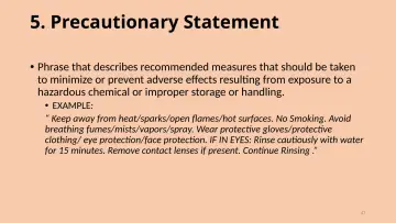 Slide 47: 5. Precautionary Statement