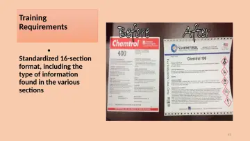 Slide 63: Training