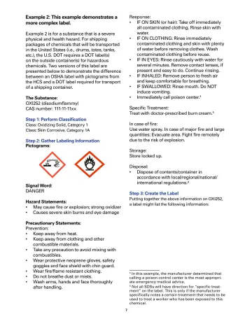 Page 7: Example 2: This example demonstrates a more complex label.