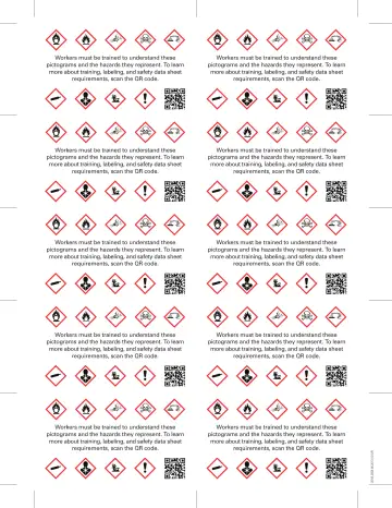 Page 2: Workers must be trained to understand these pictograms and the hazards they represent. …